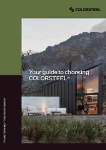 Your Guide to Choosing Colorsteel (1.372MB)